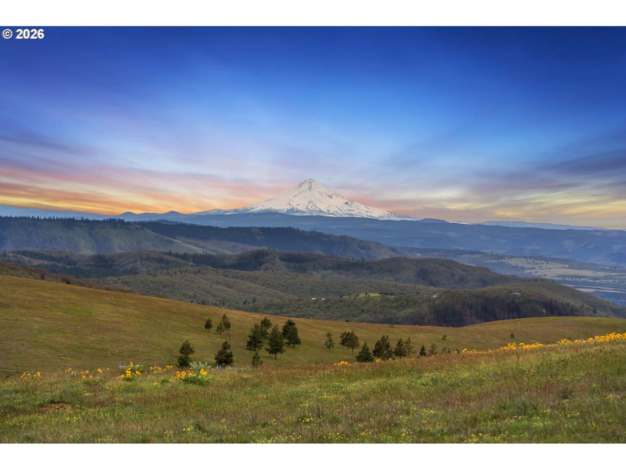 https://bt-photos.global.ssl.fastly.net/portland/1280_boomver_1_520660674-2.jpg