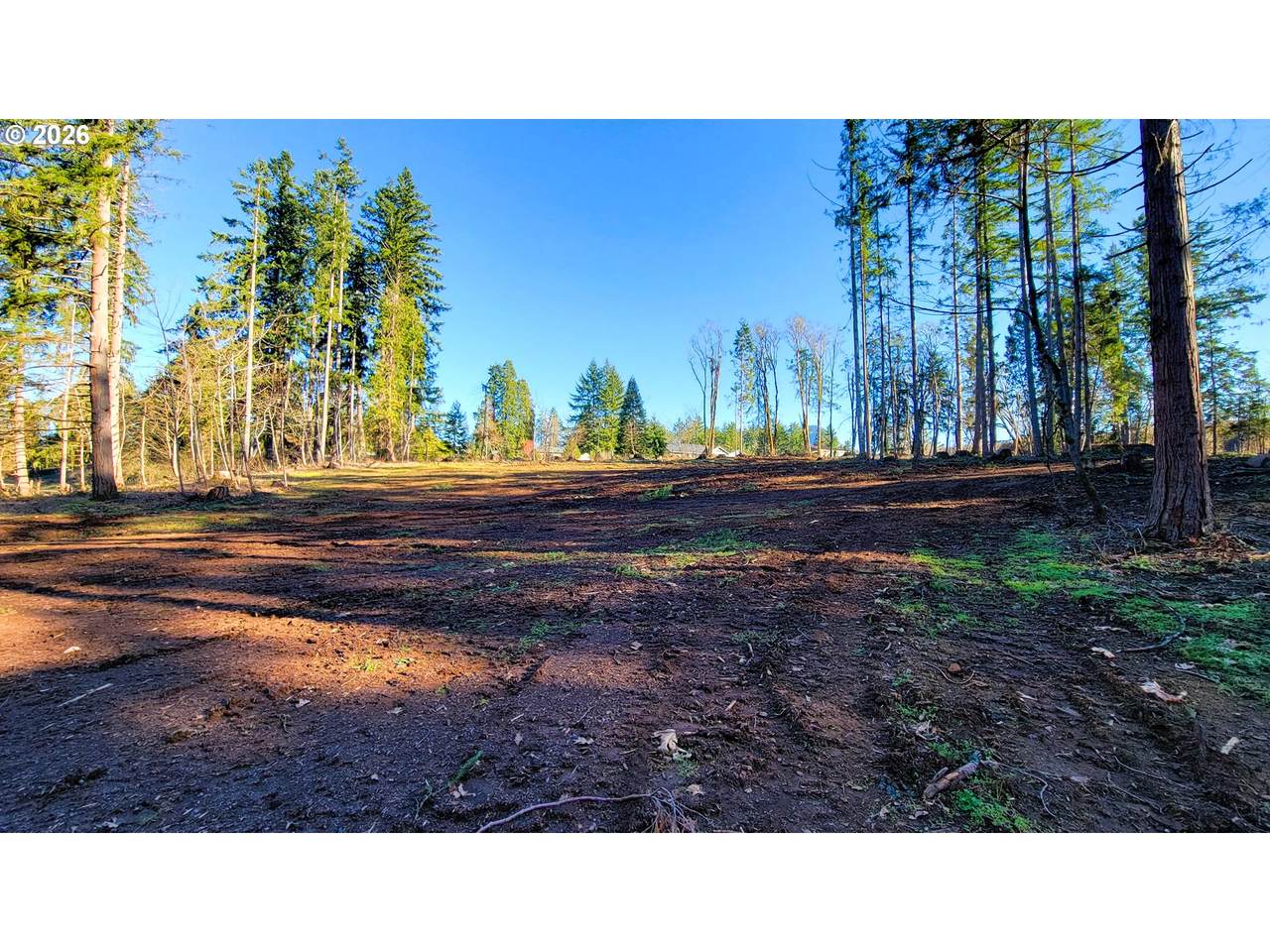  Rogers Ln - Photo 1