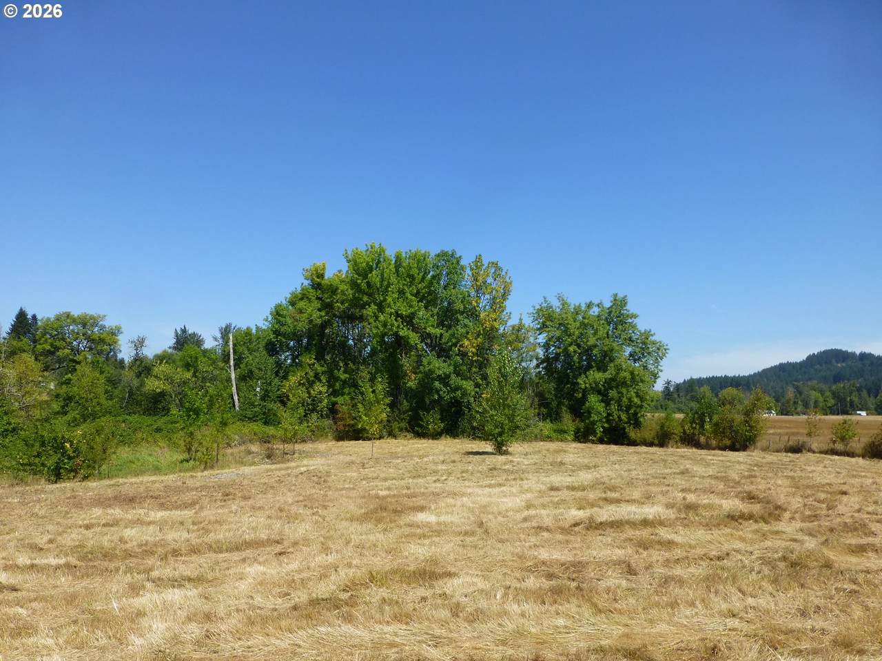 https://bt-photos.global.ssl.fastly.net/portland/1280_boomver_1_525634254-2.jpg