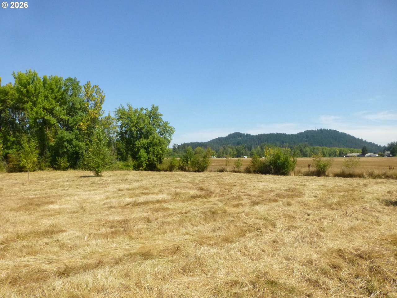 https://bt-photos.global.ssl.fastly.net/portland/1280_boomver_1_525634254-2.jpg