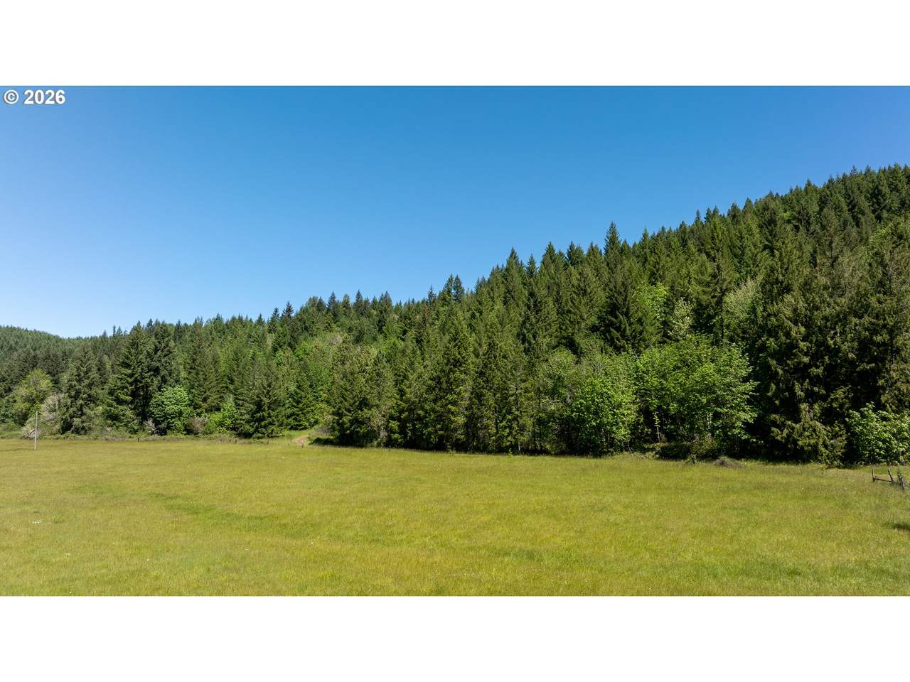 42647 Winberry Creek Rd - Photo 1
