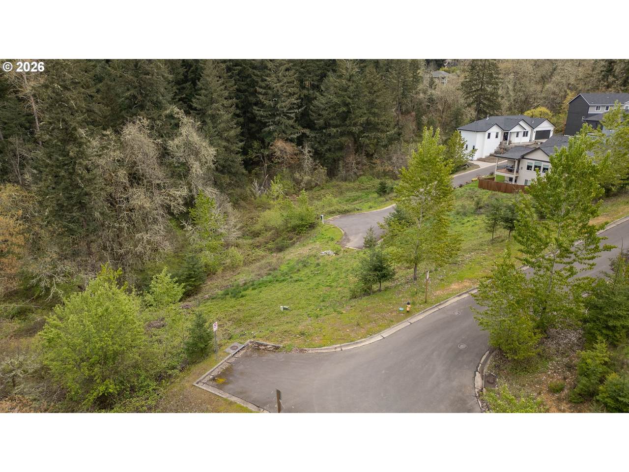 0 Aerie Park Pl - Photo 1