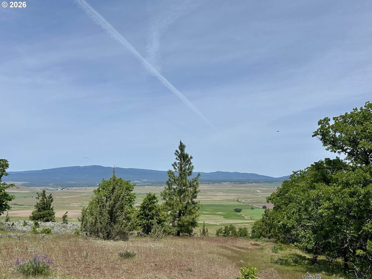 https://bt-photos.global.ssl.fastly.net/portland/1280_boomver_1_535025424-2.jpg