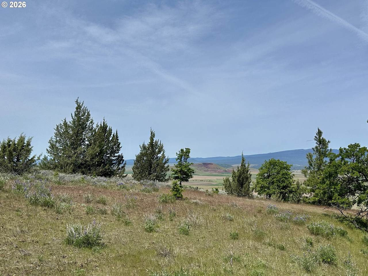 https://bt-photos.global.ssl.fastly.net/portland/1280_boomver_1_535025424-2.jpg