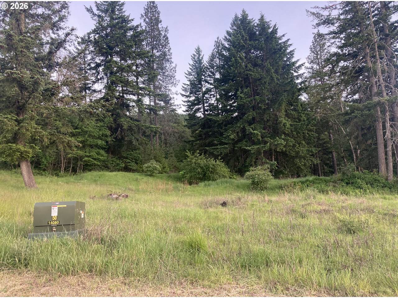 https://bt-photos.global.ssl.fastly.net/portland/1280_boomver_1_536294265-2.jpg