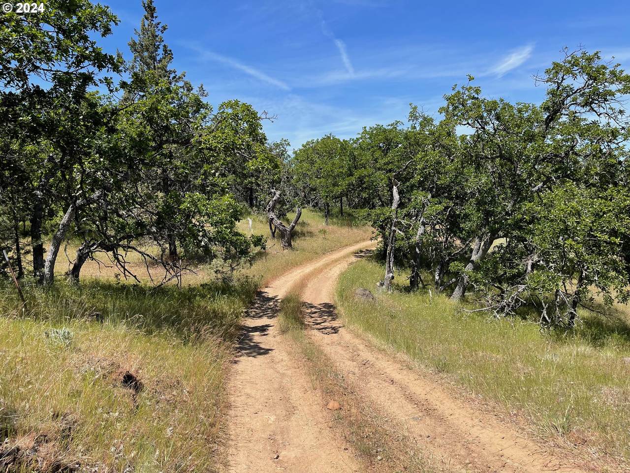 19 Columbia Hills Ln - Photo 1