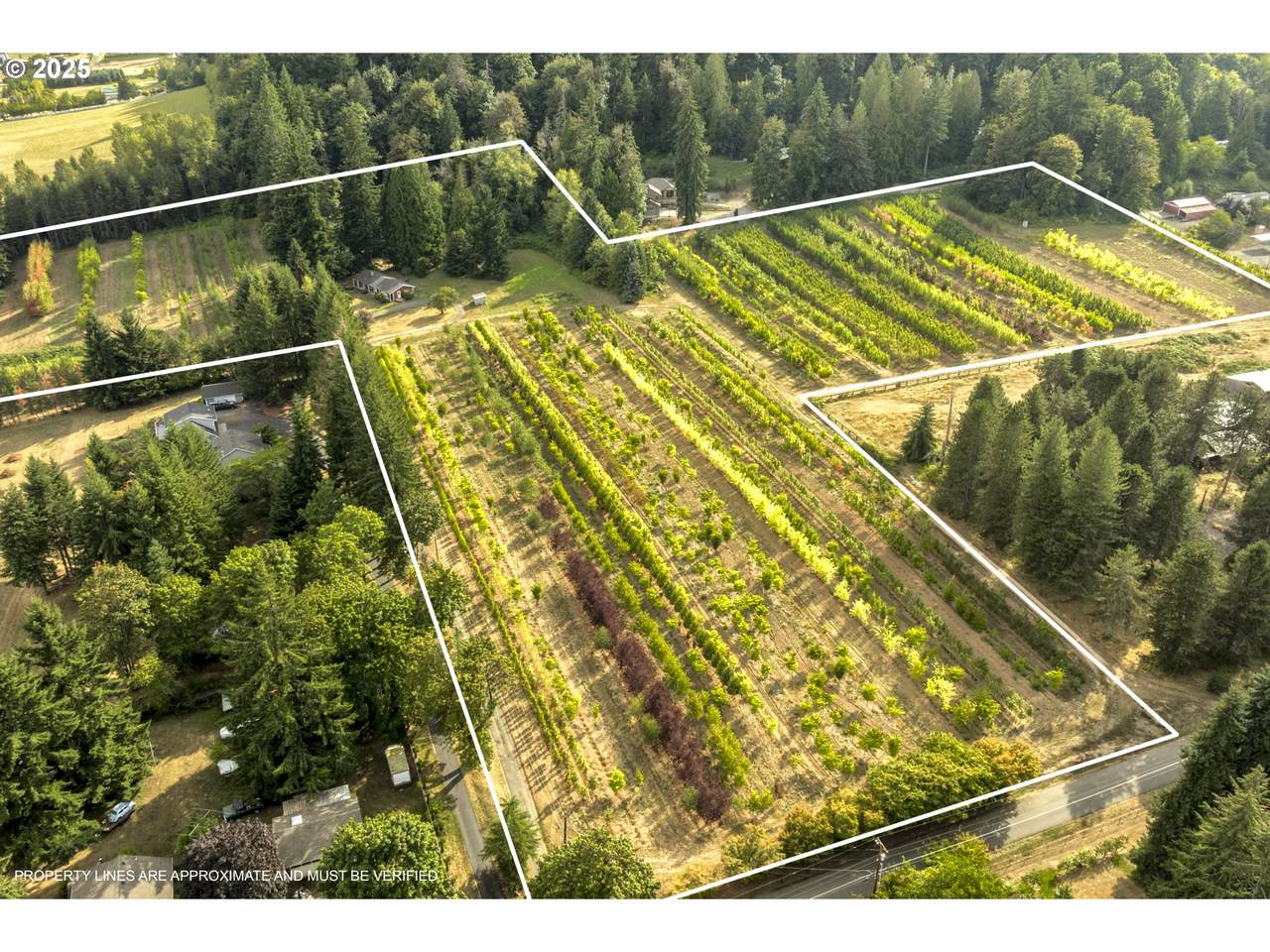 29630 Wheeler Rd - Photo 1