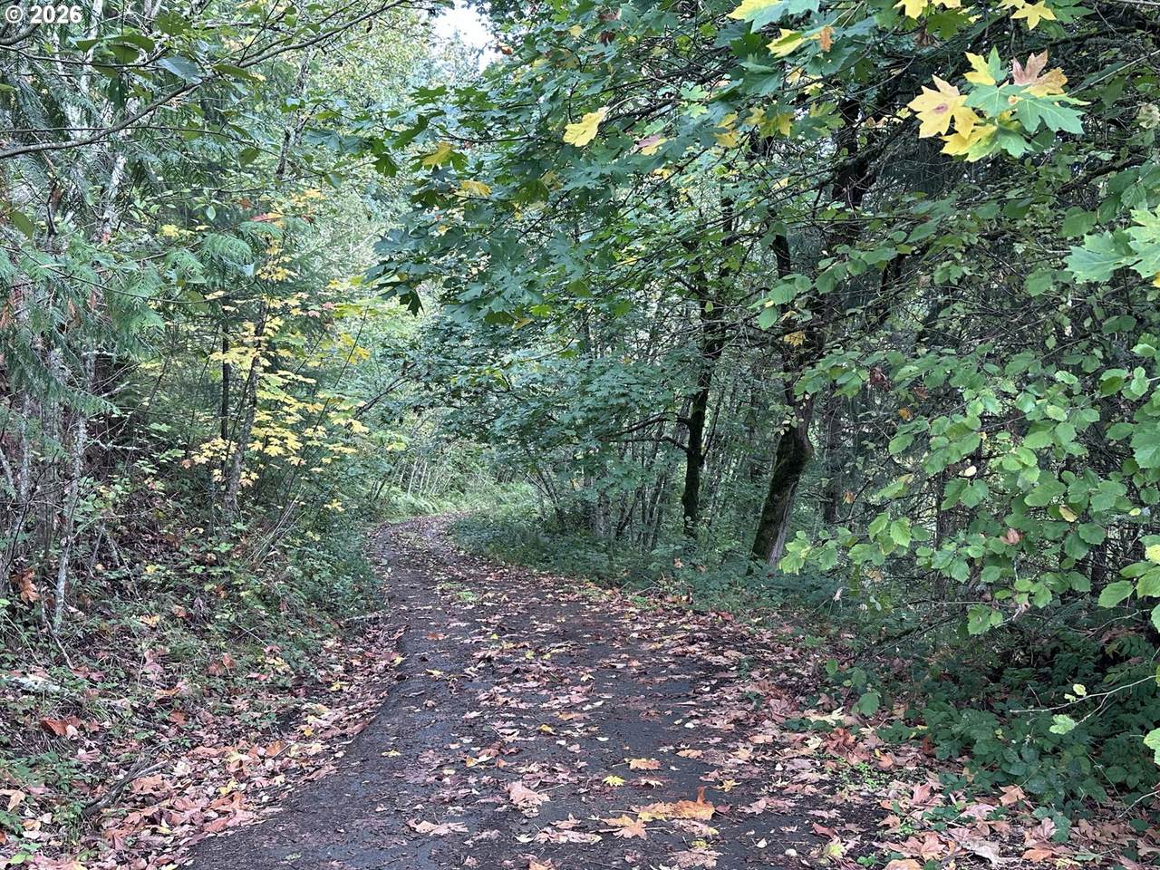 https://bt-photos.global.ssl.fastly.net/portland/1280_boomver_1_540781550-2.jpg