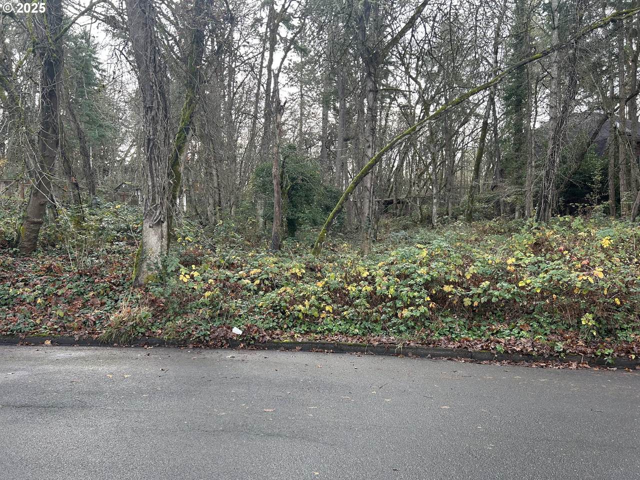  39th Ave - Photo 1