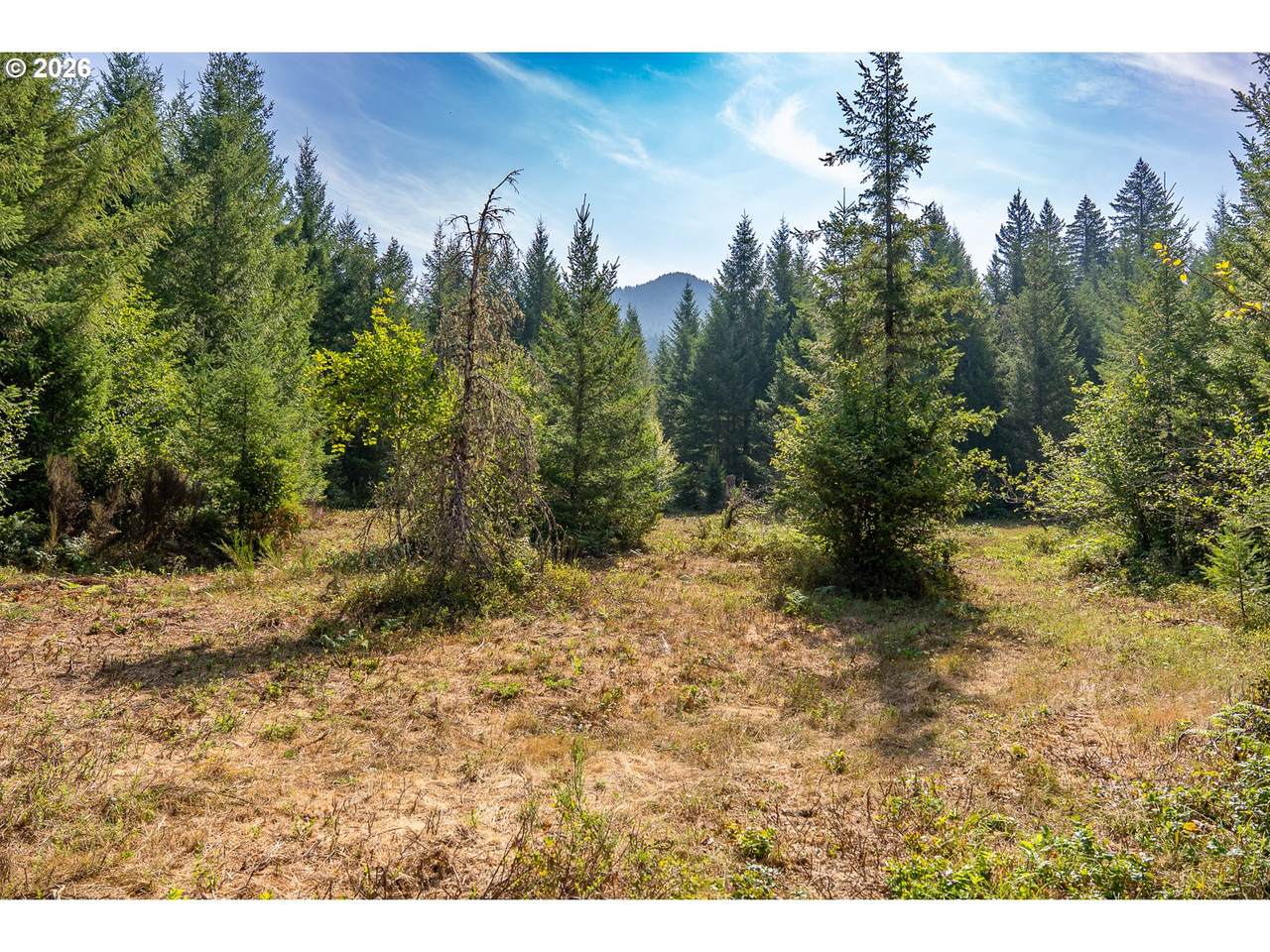 https://bt-photos.global.ssl.fastly.net/portland/1280_boomver_1_542945469-2.jpg