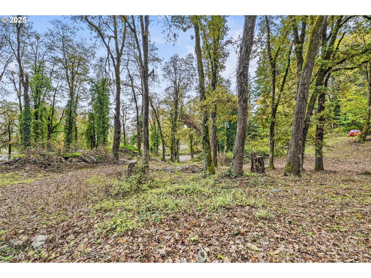 33492 Jaquish Rd - Photo 1