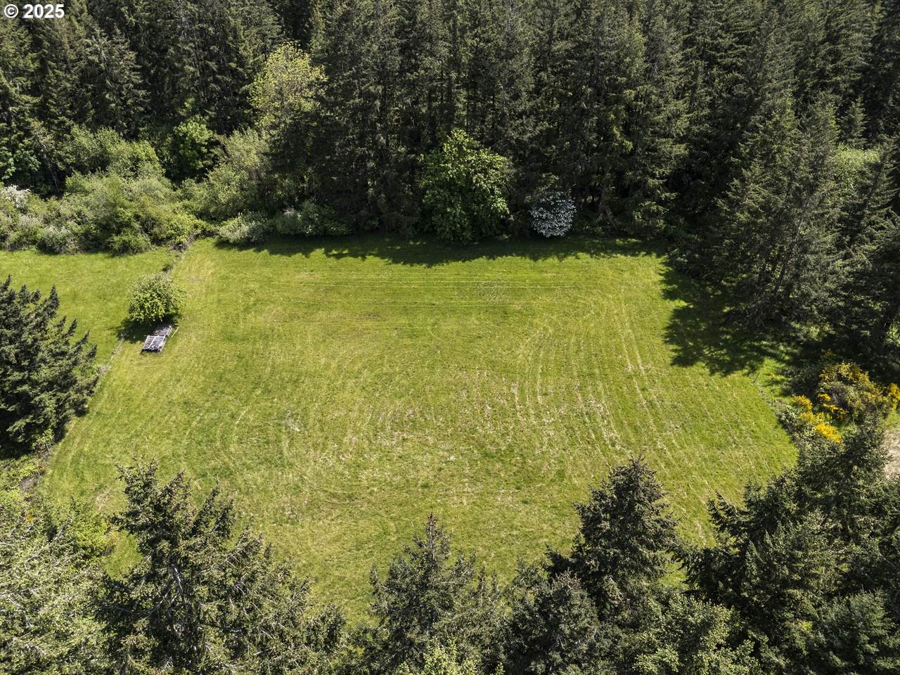 31515 71ST Ave - Photo 1