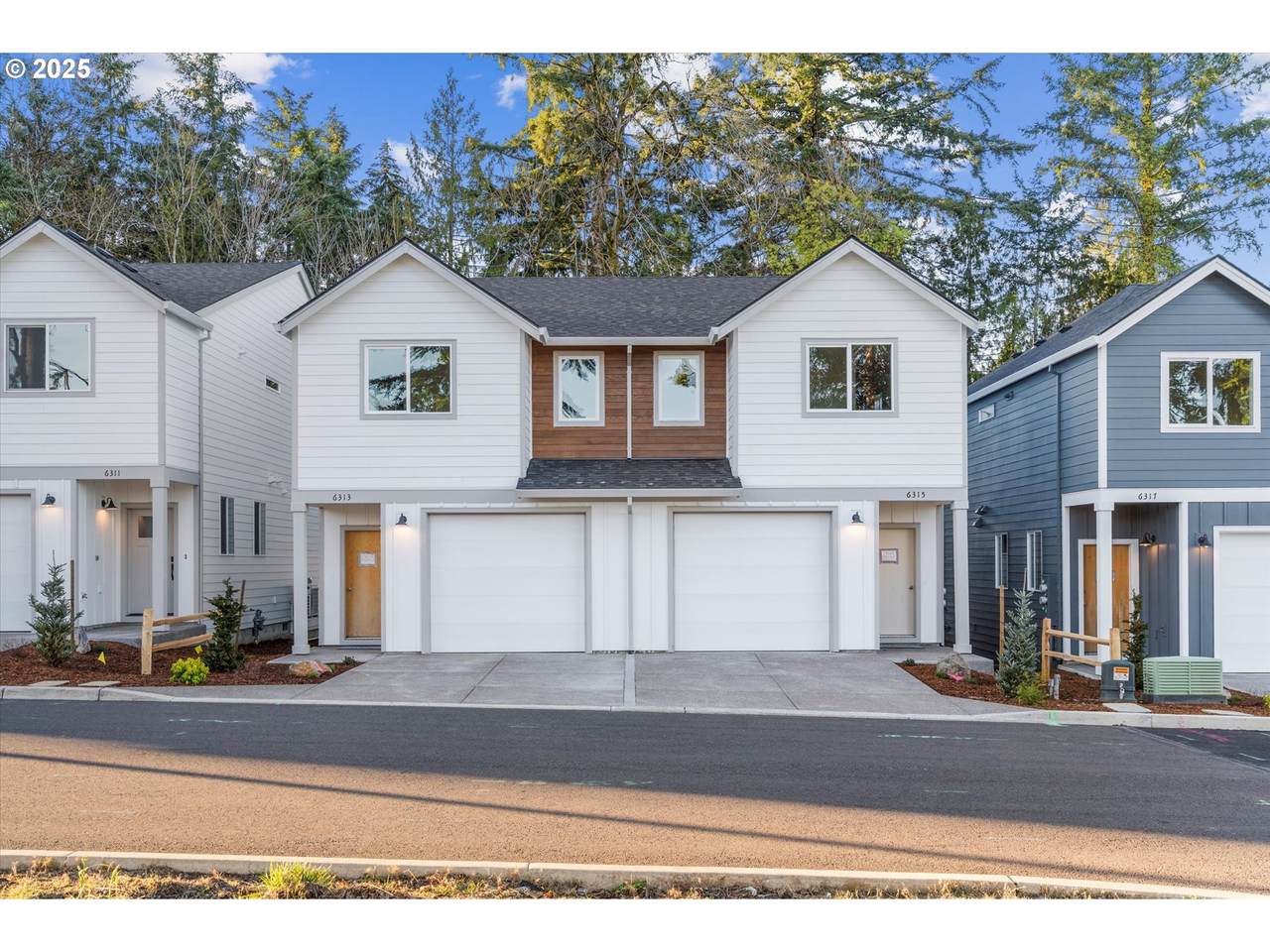 6315 Chloe Rose Way - Photo 1