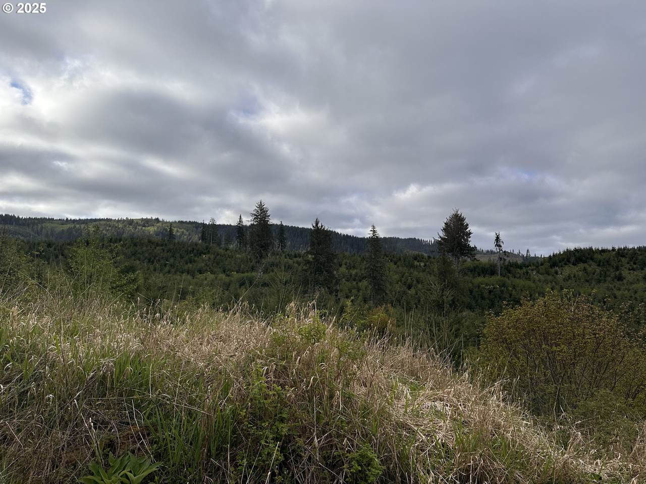 https://bt-photos.global.ssl.fastly.net/portland/1280_boomver_1_547148494-2.jpg