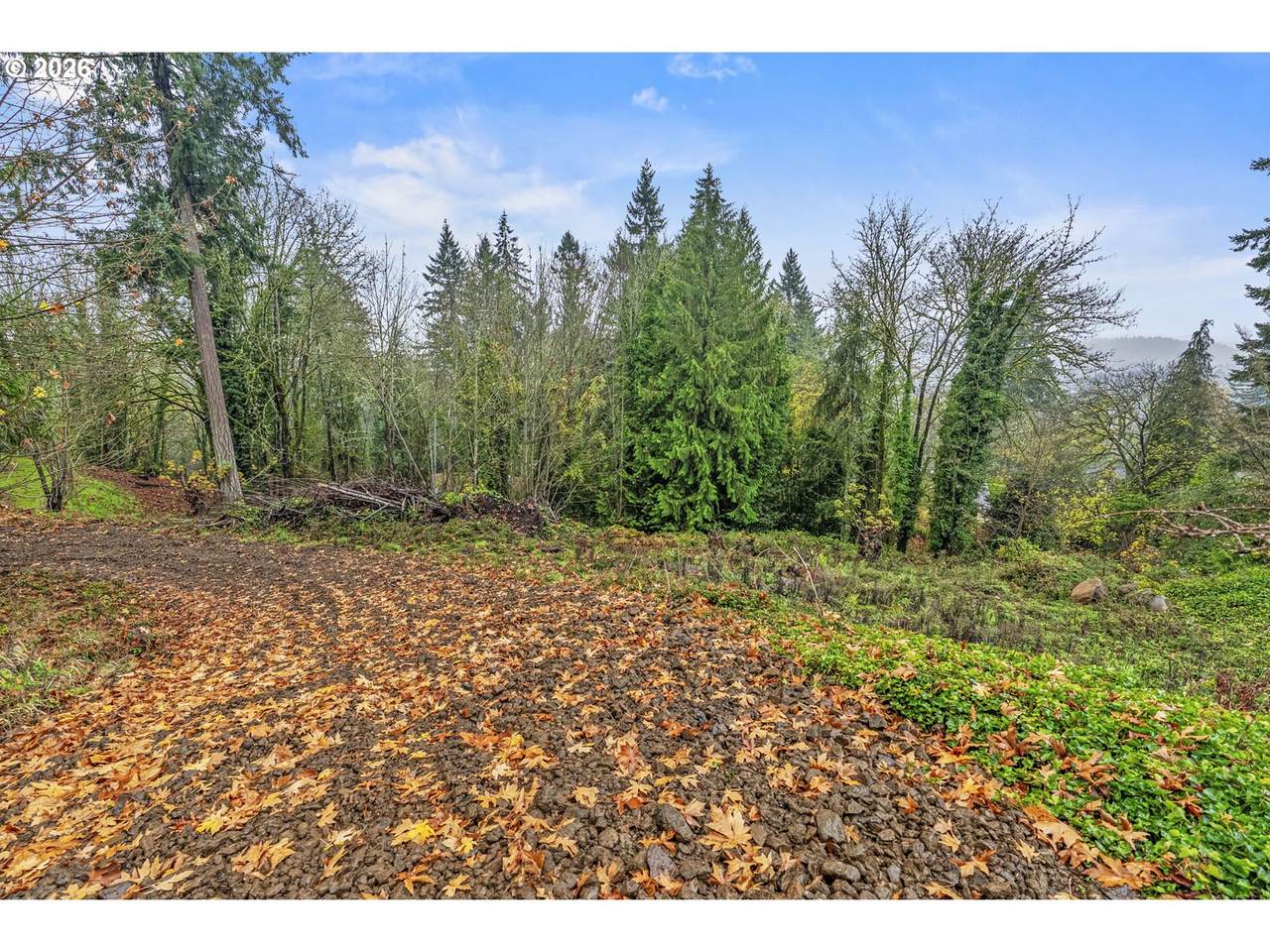 https://bt-photos.global.ssl.fastly.net/portland/1280_boomver_1_548482988-2.jpg