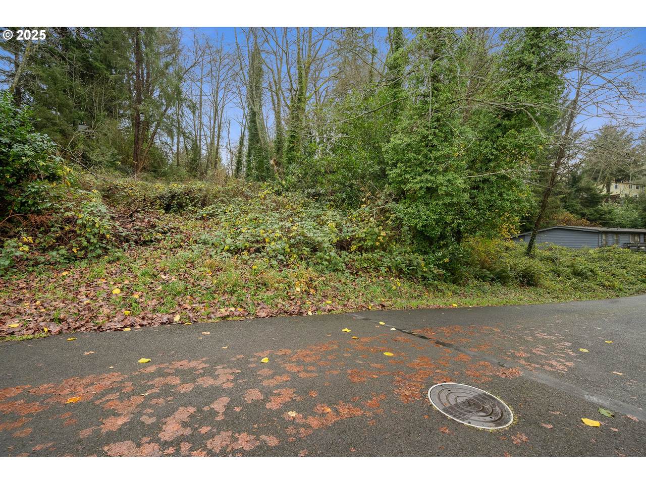 https://bt-photos.global.ssl.fastly.net/portland/1280_boomver_1_548585633-2.jpg