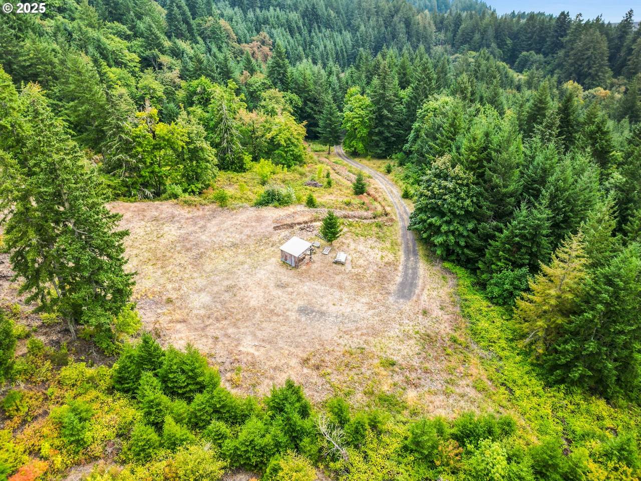 200 Marks Ridge - Photo 1