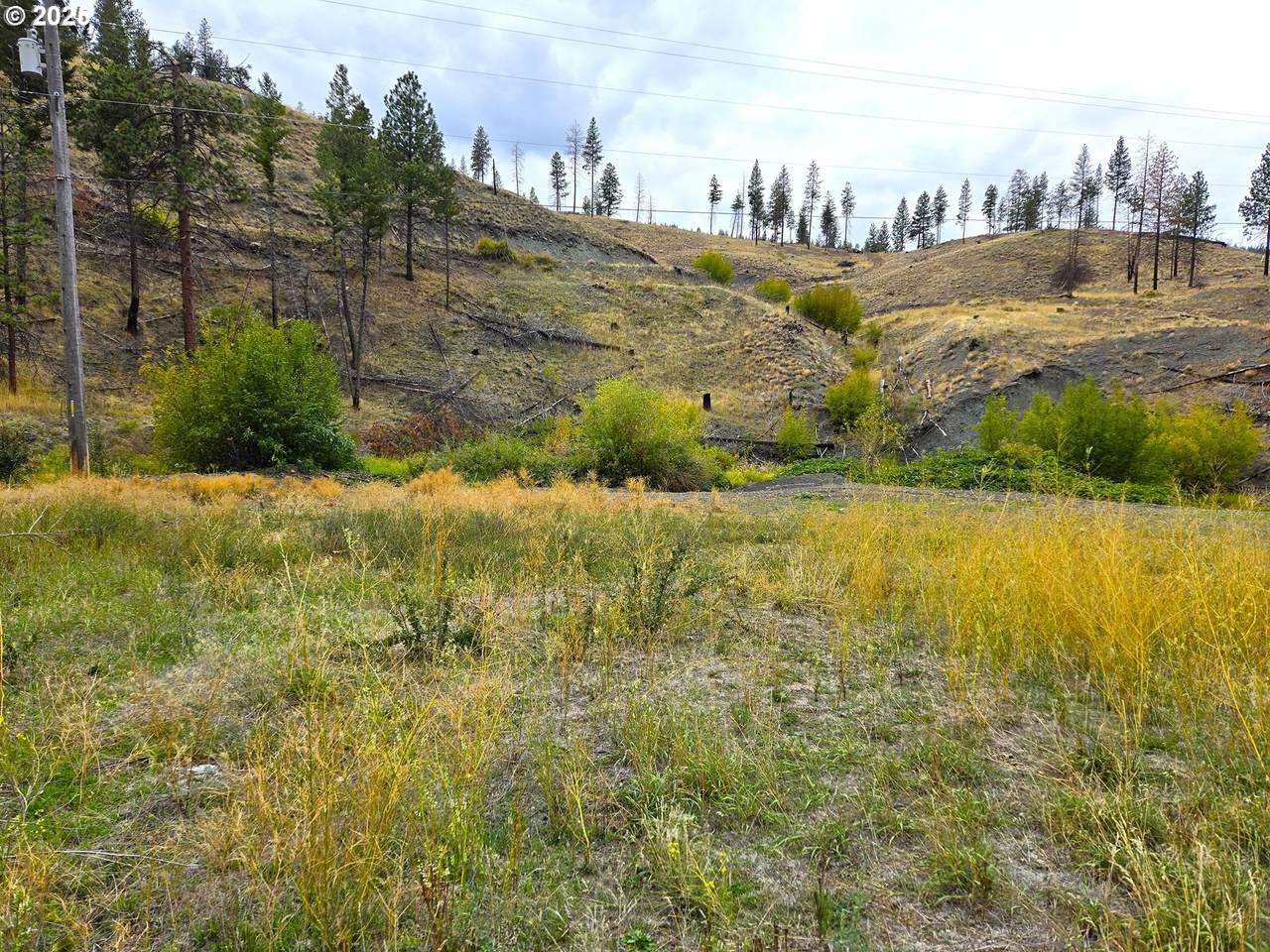 25920 Hwy 395 S - Photo 1