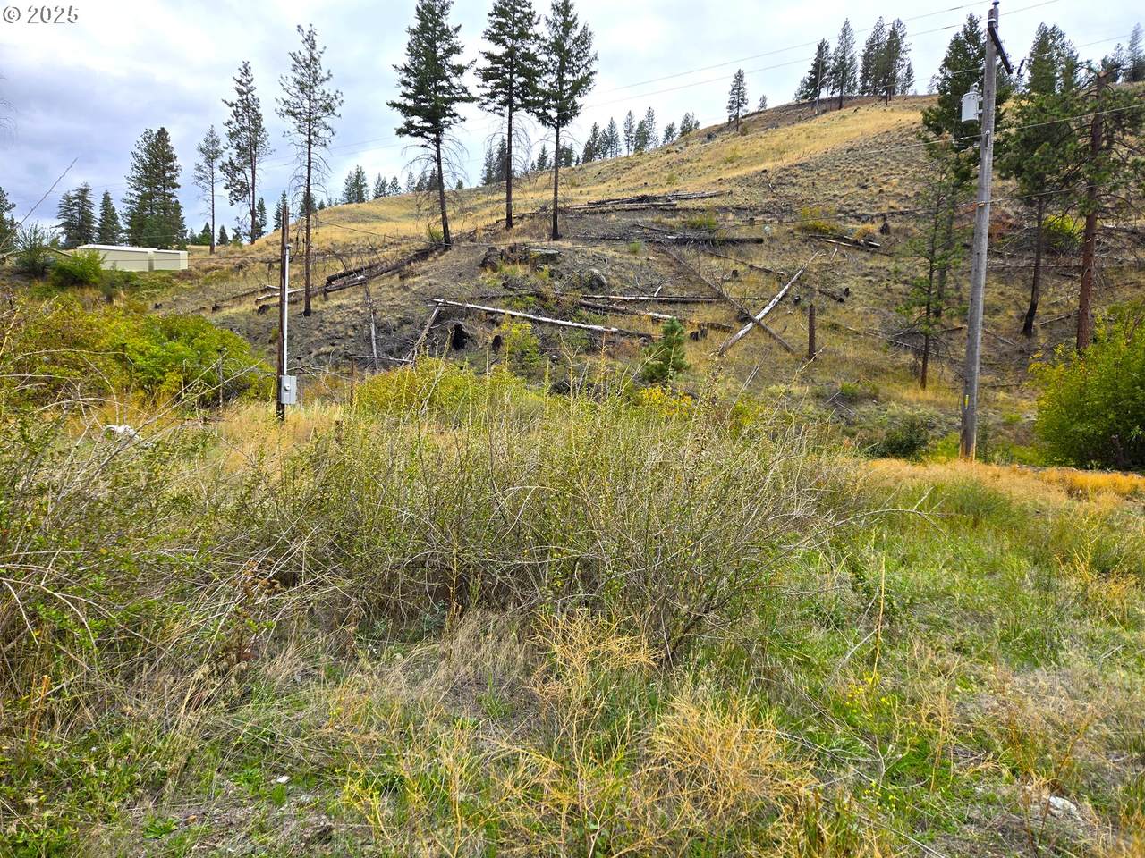 https://bt-photos.global.ssl.fastly.net/portland/1280_boomver_1_548841154-2.jpg