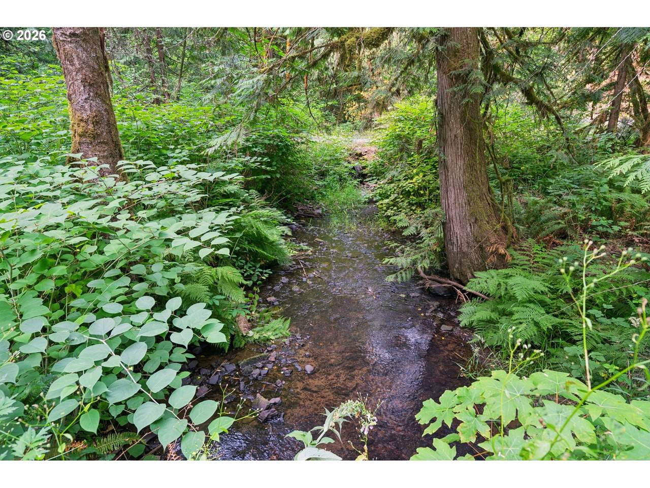https://bt-photos.global.ssl.fastly.net/portland/1280_boomver_1_549313950-2.jpg