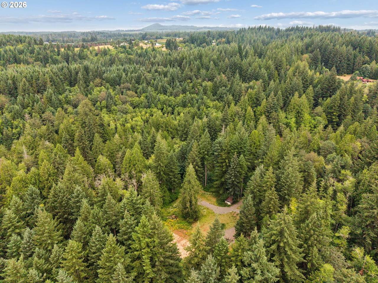 https://bt-photos.global.ssl.fastly.net/portland/1280_boomver_1_549313950-2.jpg