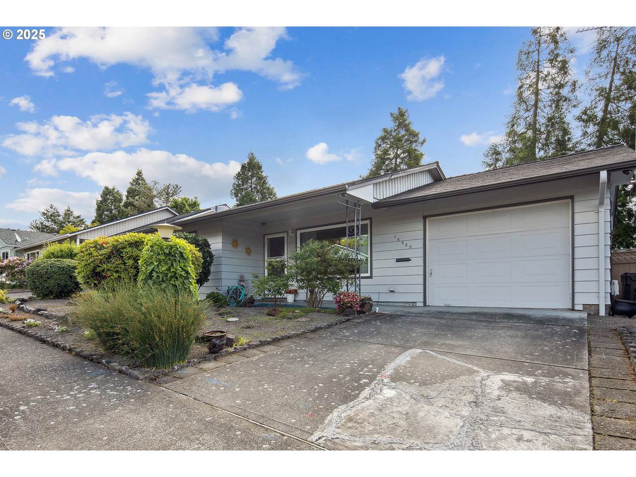 15580 Royalty Pkwy - Photo 1