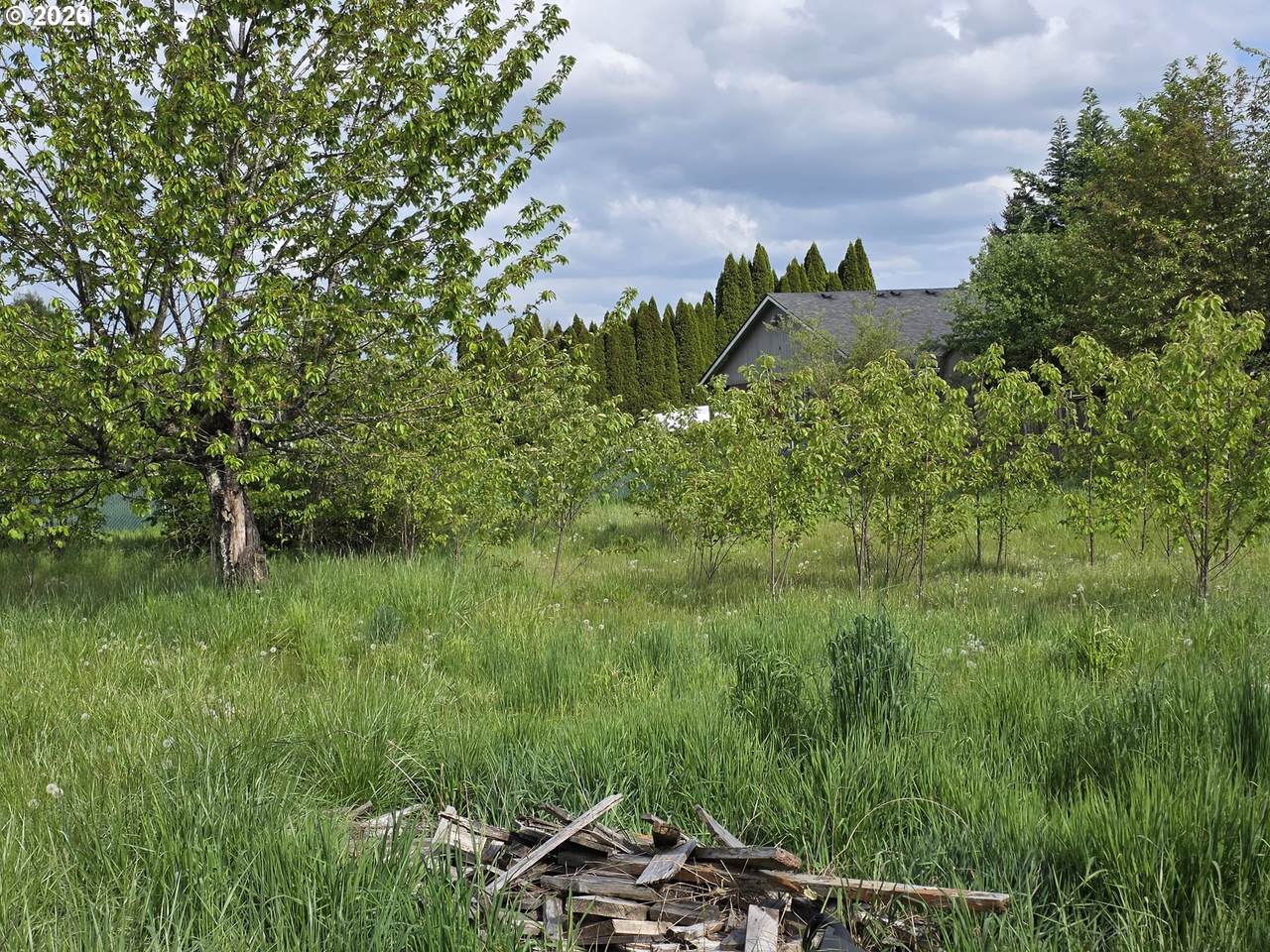 https://bt-photos.global.ssl.fastly.net/portland/1280_boomver_1_552305642-2.jpg