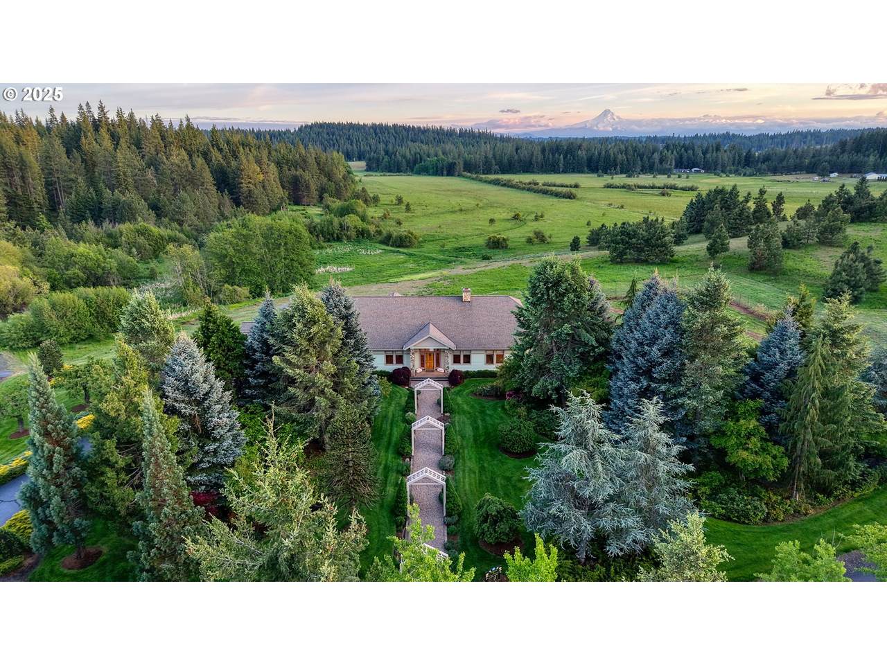 986 Snowden Rd - Photo 1
