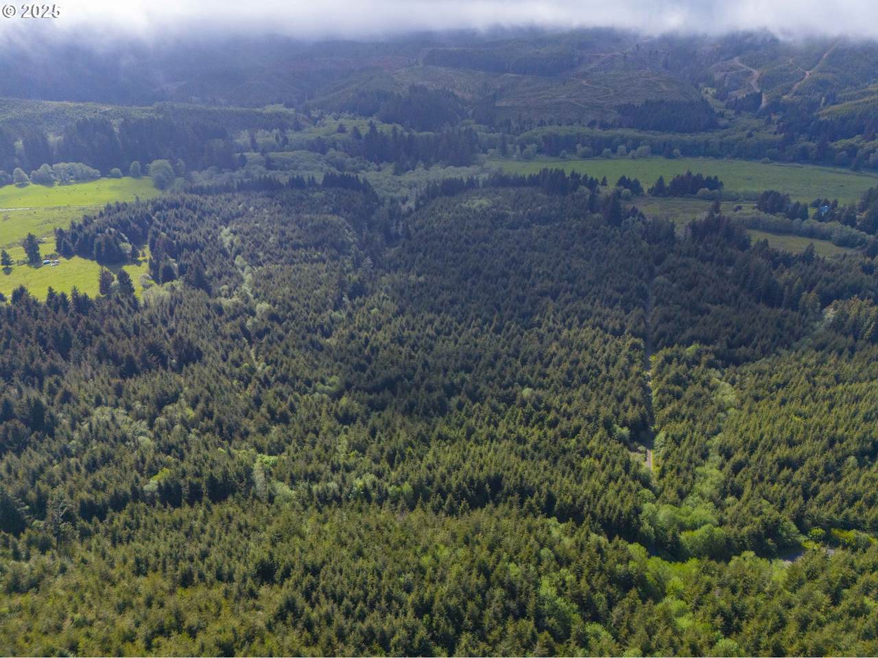 https://bt-photos.global.ssl.fastly.net/portland/1280_boomver_1_559057356-2.jpg