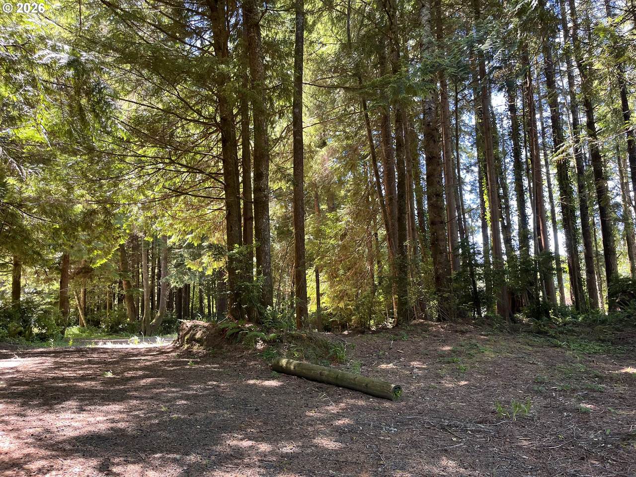 https://bt-photos.global.ssl.fastly.net/portland/1280_boomver_1_559115831-2.jpg