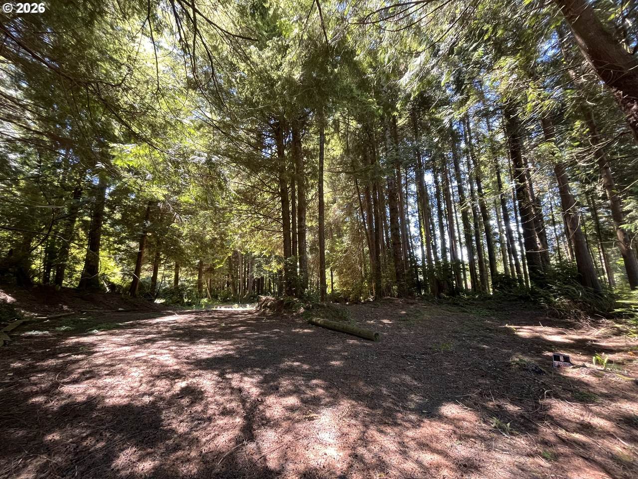 https://bt-photos.global.ssl.fastly.net/portland/1280_boomver_1_559115831-2.jpg