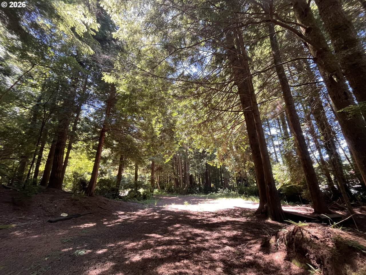https://bt-photos.global.ssl.fastly.net/portland/1280_boomver_1_559115831-2.jpg