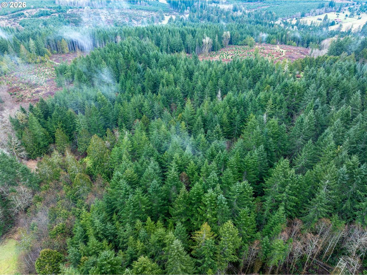 https://bt-photos.global.ssl.fastly.net/portland/1280_boomver_1_560612510-2.jpg
