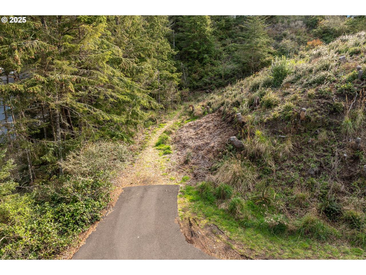 https://bt-photos.global.ssl.fastly.net/portland/1280_boomver_1_561093735-2.jpg