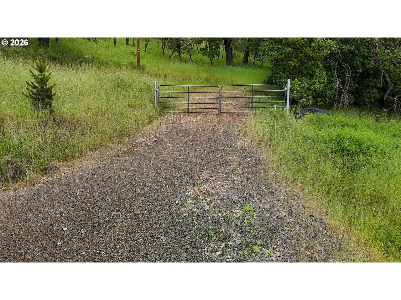 540 Horizon Ln - Photo 1
