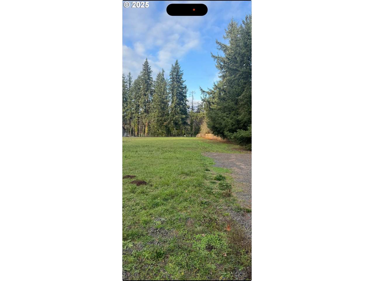 17857 S Abiqua - Photo 1