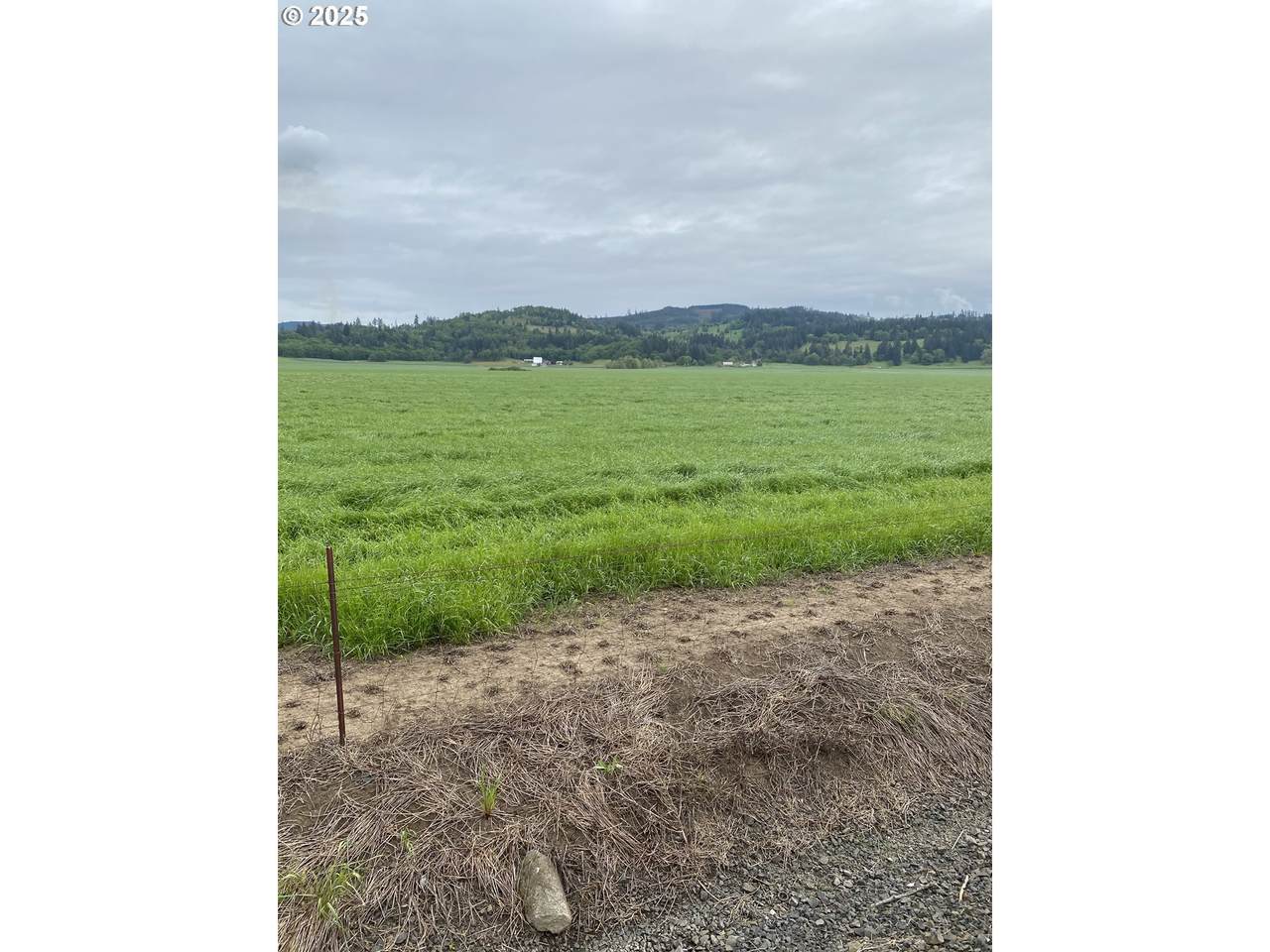 27889 Seven Mile Ln - Photo 1