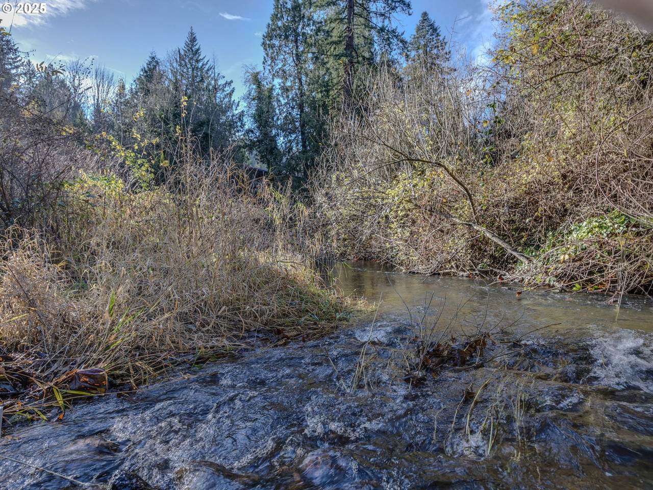 https://bt-photos.global.ssl.fastly.net/portland/1280_boomver_1_569875562-2.jpg