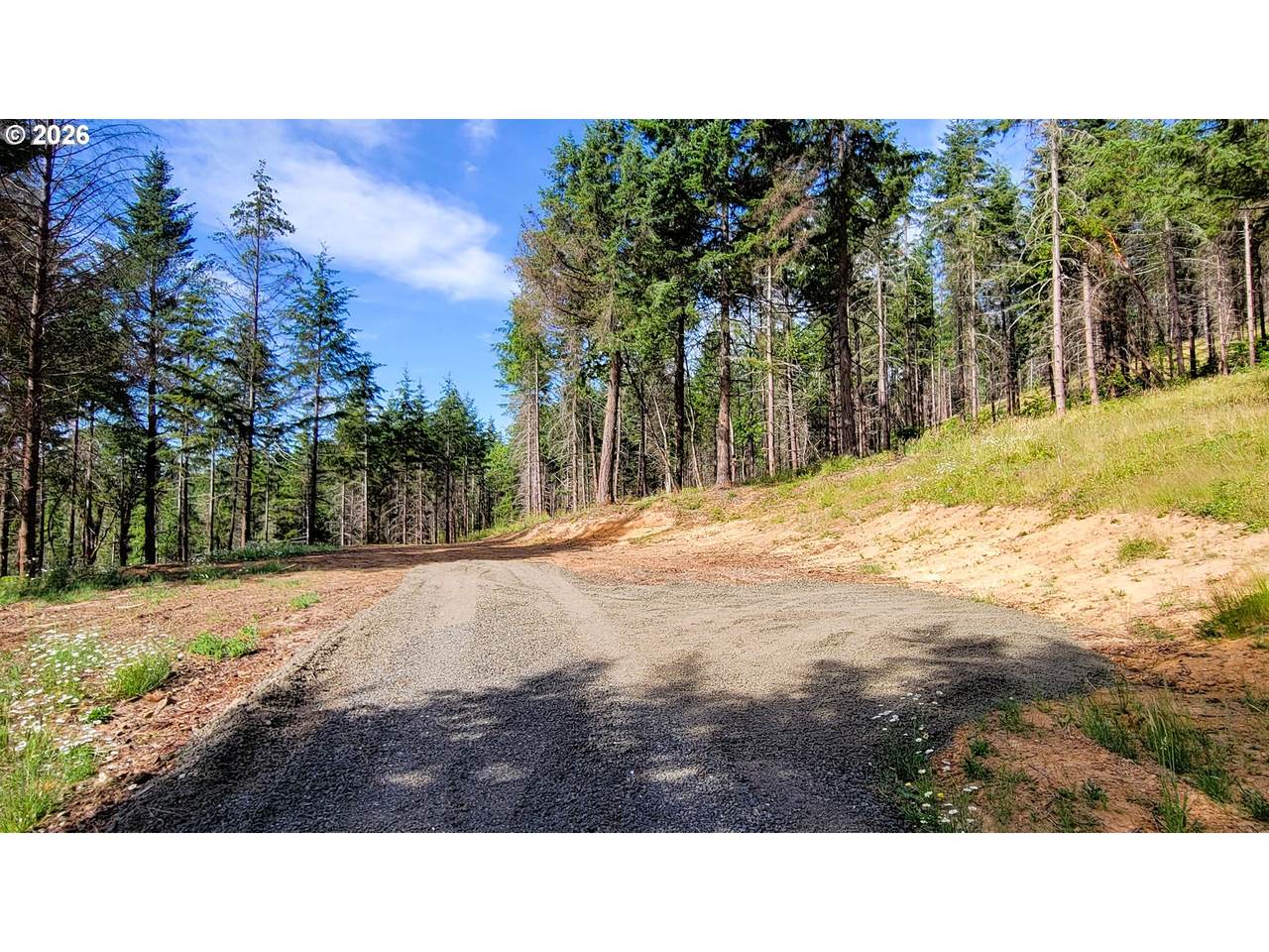  Northill Ranch Rd - Photo 1