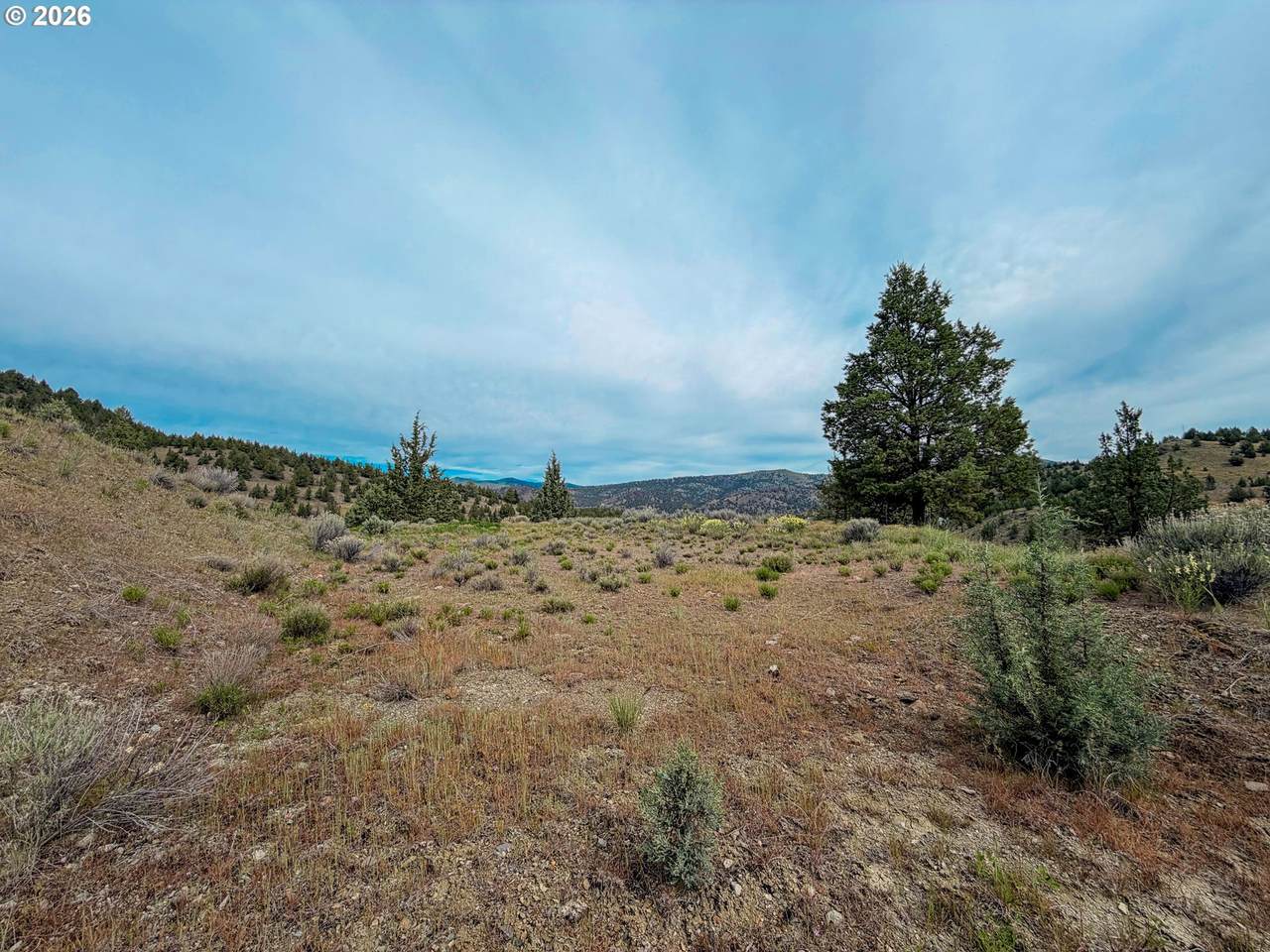  Luce Creek Rd - Photo 1