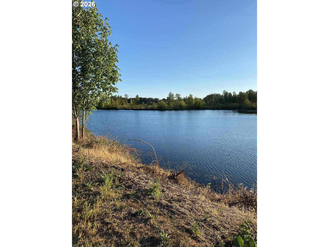 243 Collins Rd - Photo 1