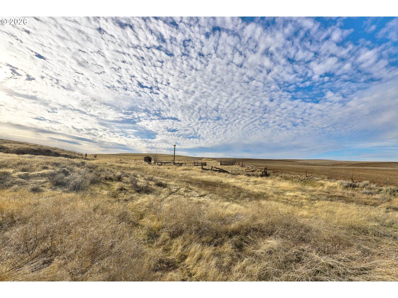 62722 Hart Rd - Photo 1