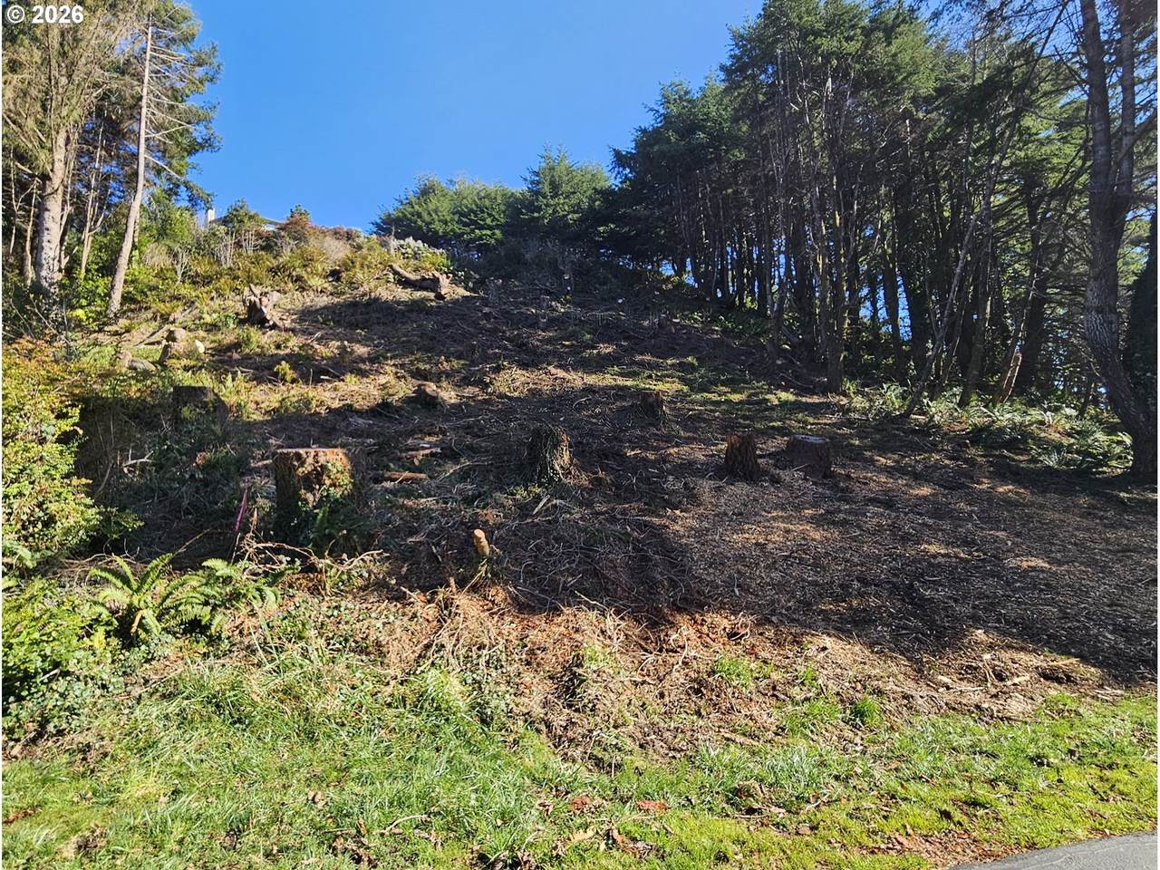 https://bt-photos.global.ssl.fastly.net/portland/1280_boomver_1_579878632-2.jpg