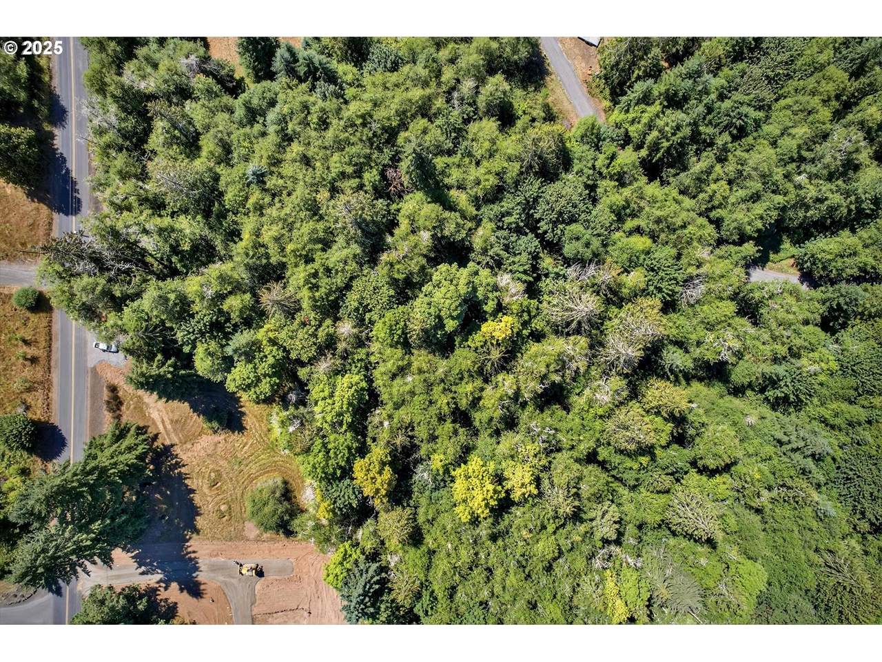 956 Paine Rd - Photo 1