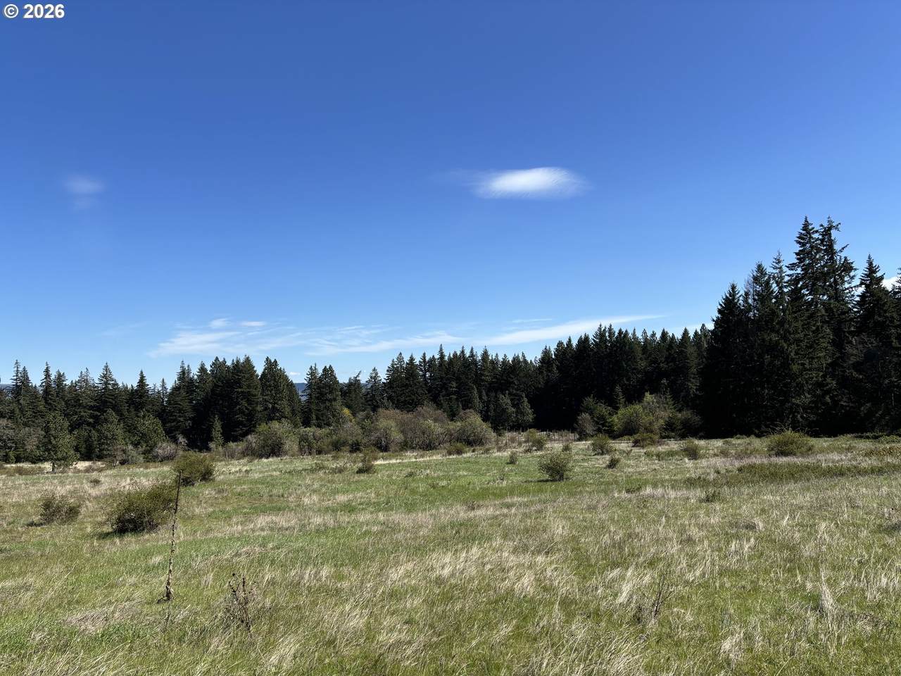  Cooke Rd - Photo 1