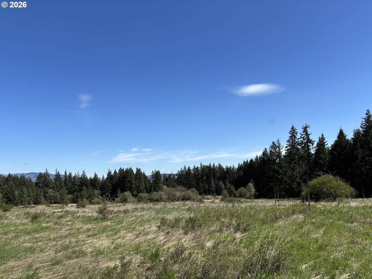 https://bt-photos.global.ssl.fastly.net/portland/1280_boomver_1_581036231-2.jpg
