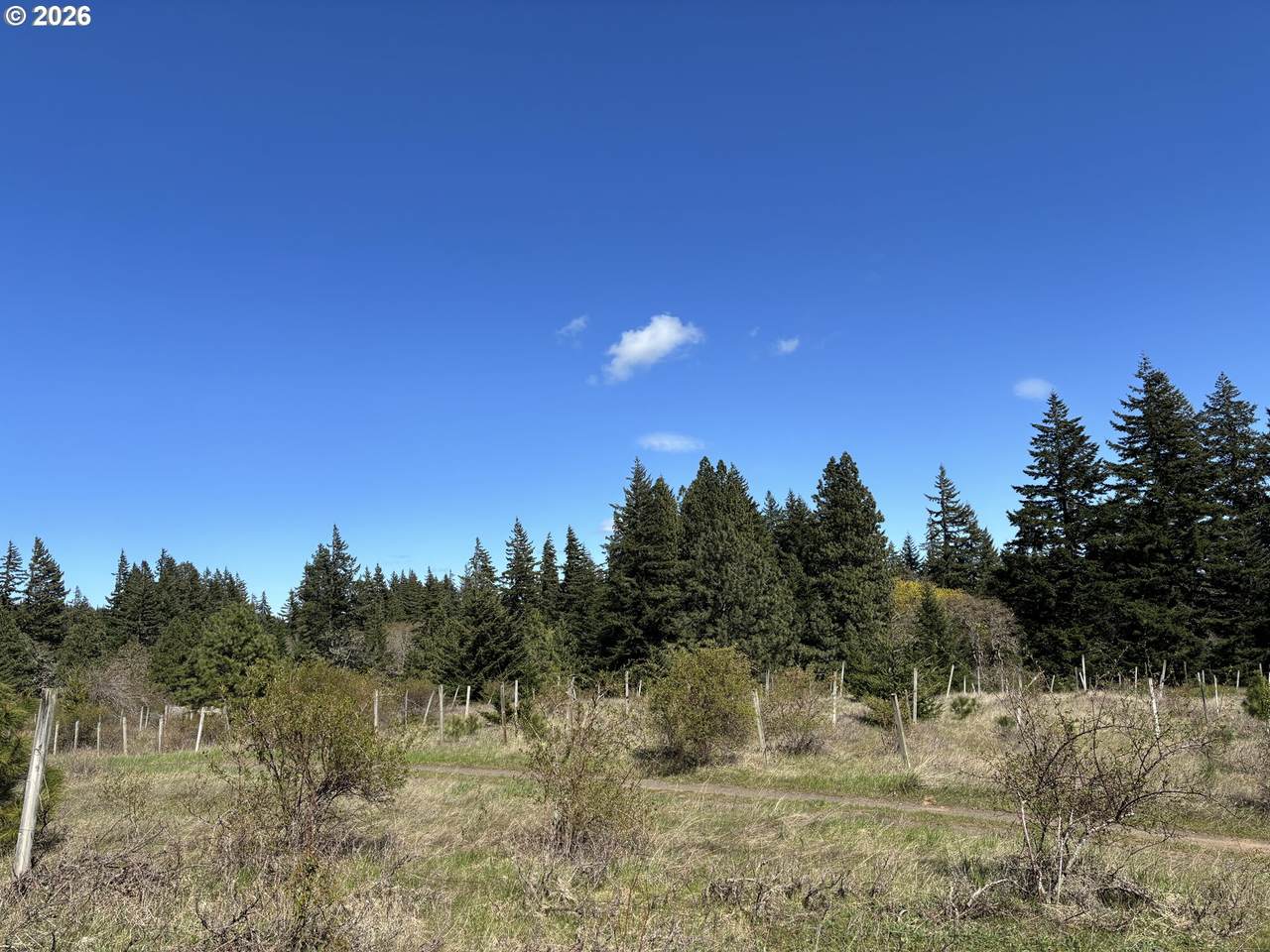 https://bt-photos.global.ssl.fastly.net/portland/1280_boomver_1_581036231-2.jpg