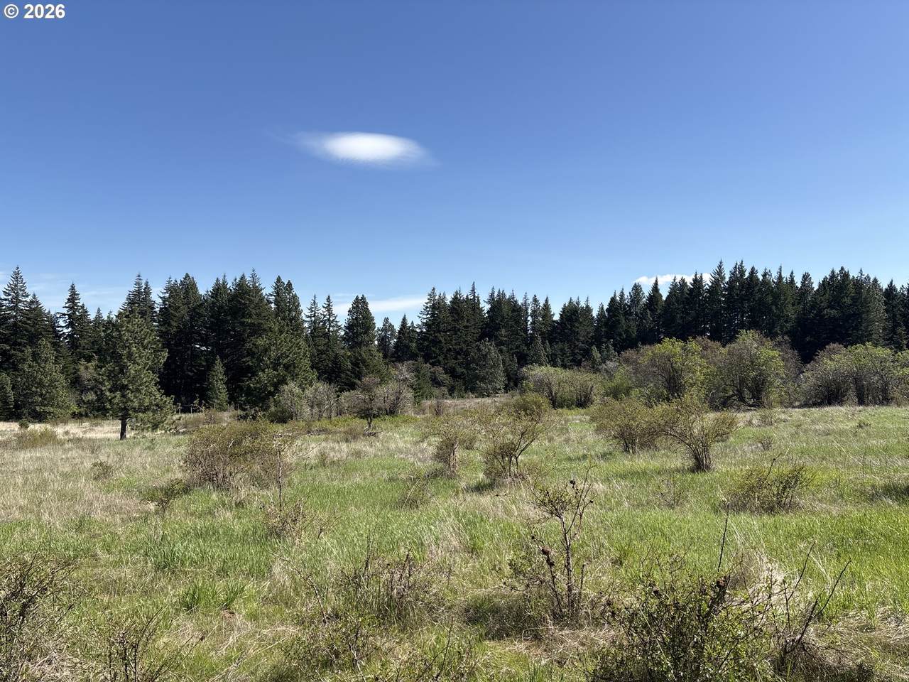 https://bt-photos.global.ssl.fastly.net/portland/1280_boomver_1_581036231-2.jpg