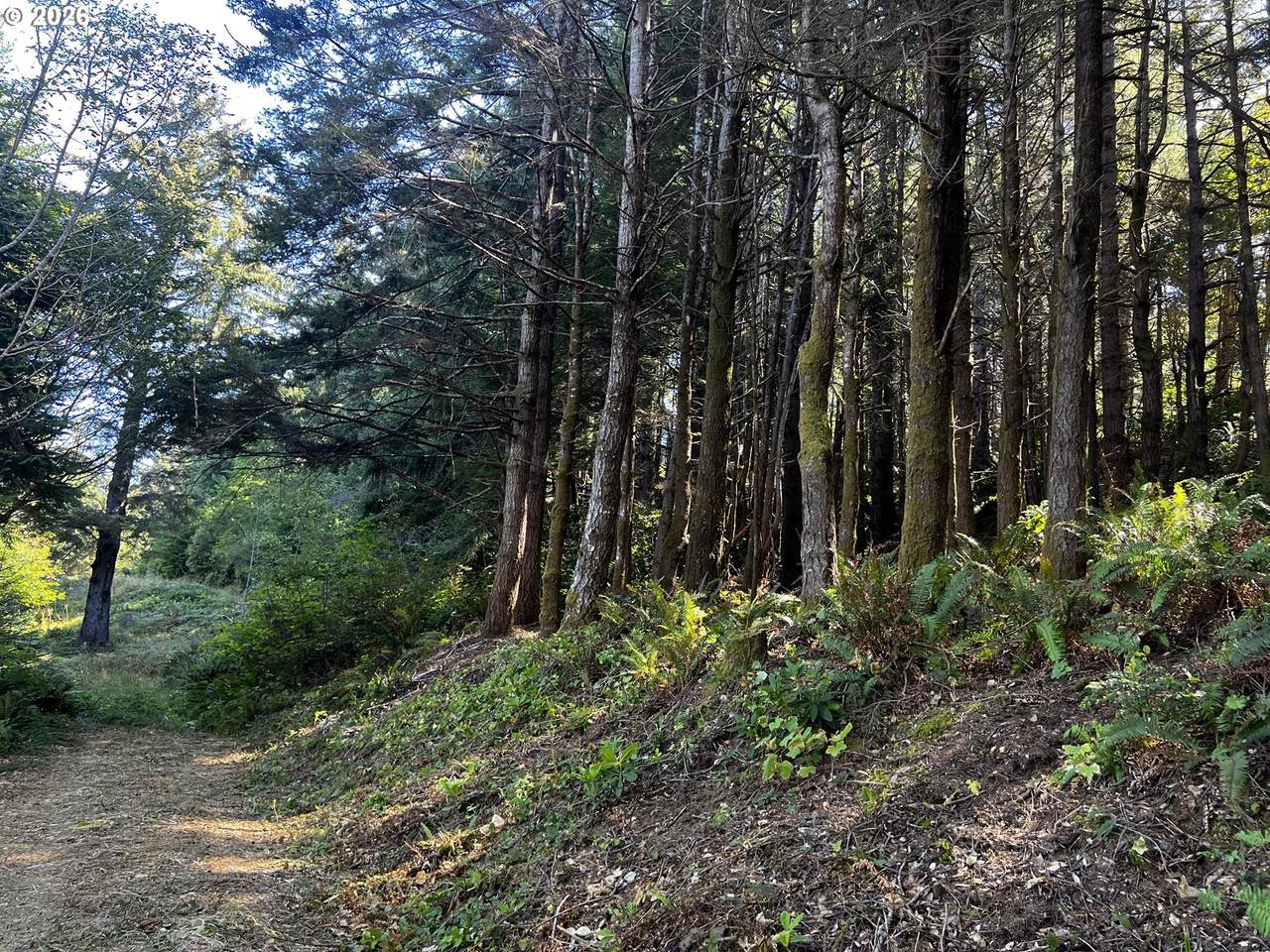 https://bt-photos.global.ssl.fastly.net/portland/1280_boomver_1_581181735-2.jpg