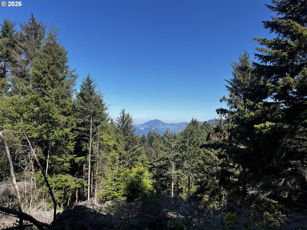 https://bt-photos.global.ssl.fastly.net/portland/1280_boomver_1_581181735-2.jpg
